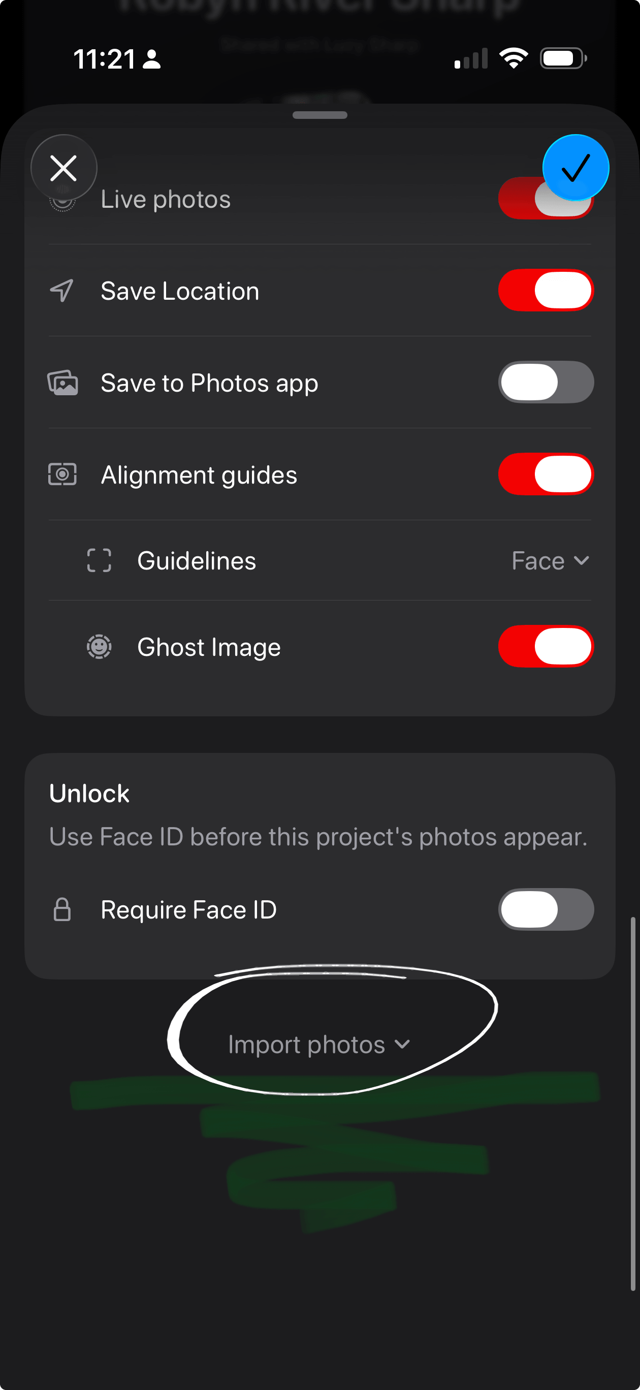 DayReel Import photos button in project settings