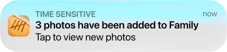 DayReel shared album notification